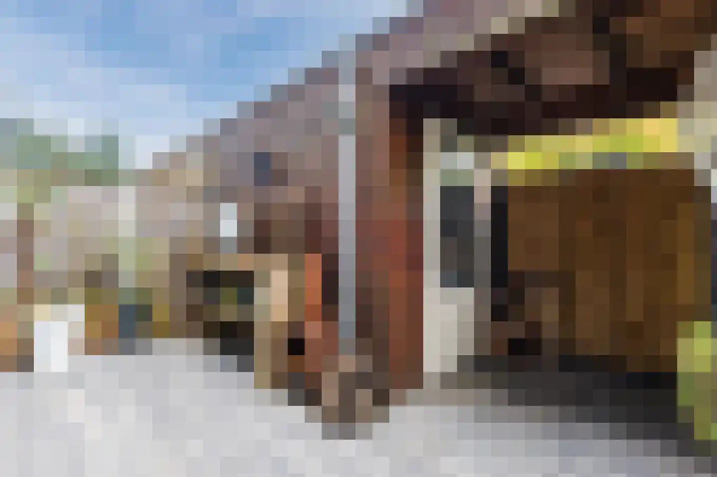 Topzeil 22 Almere thumbnail 41