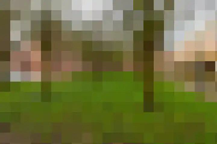 Torckpark 11 Wageningen thumbnail 35