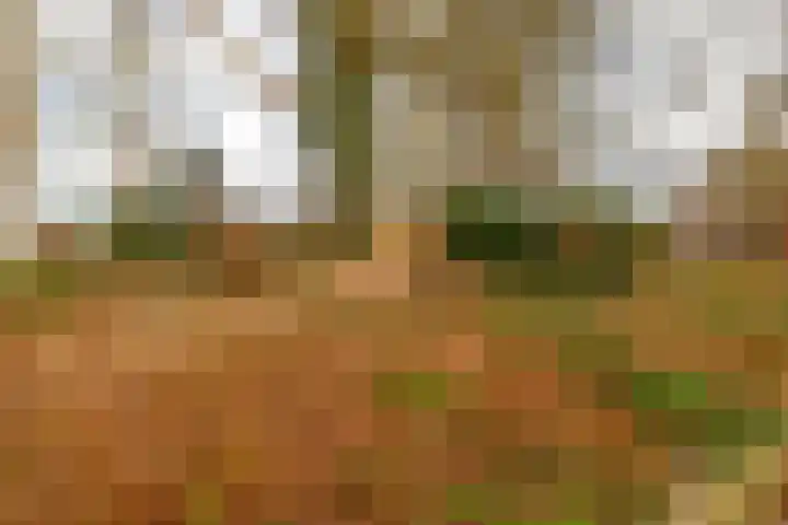 Torckpark 11 Wageningen thumbnail 36