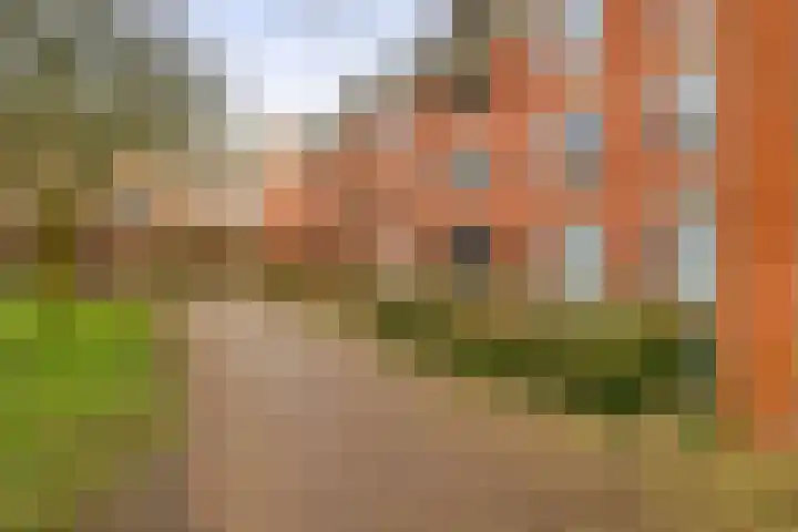 Torckpark 11 Wageningen thumbnail 4