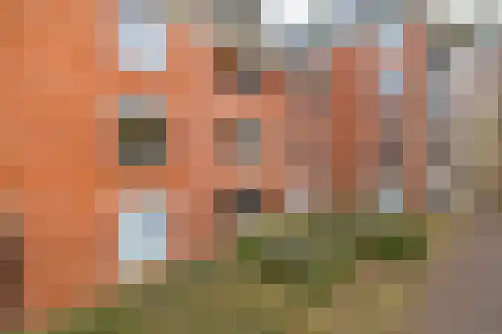 Torckpark 11 Wageningen thumbnail 5