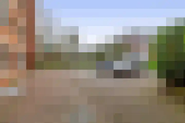 Torckpark 11 Wageningen thumbnail 7