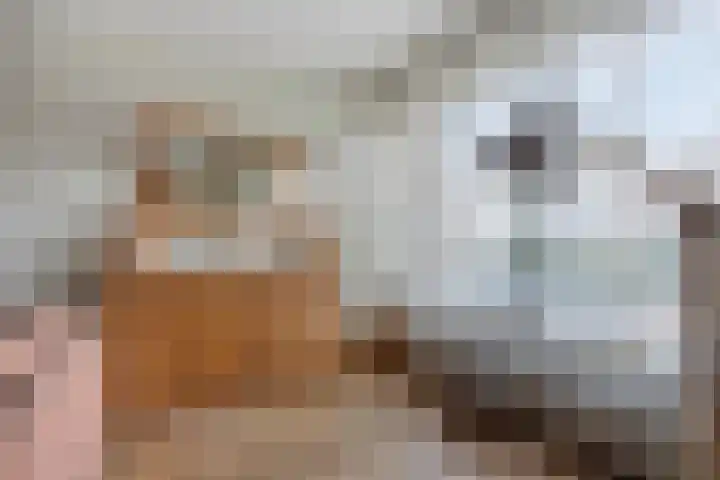 Torecpad 1 Eindhoven thumbnail 14