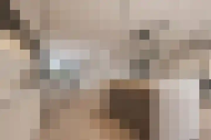 Torecpad 1 Eindhoven thumbnail 19