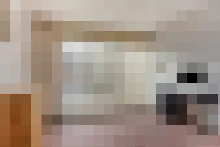 Torecpad 1 Eindhoven thumbnail 23