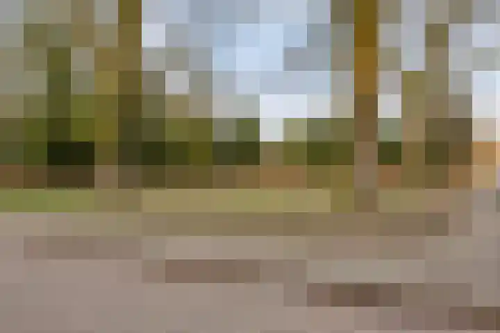 Torecpad 1 Eindhoven thumbnail 44