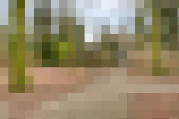 Torecpad 1 Eindhoven thumbnail 48