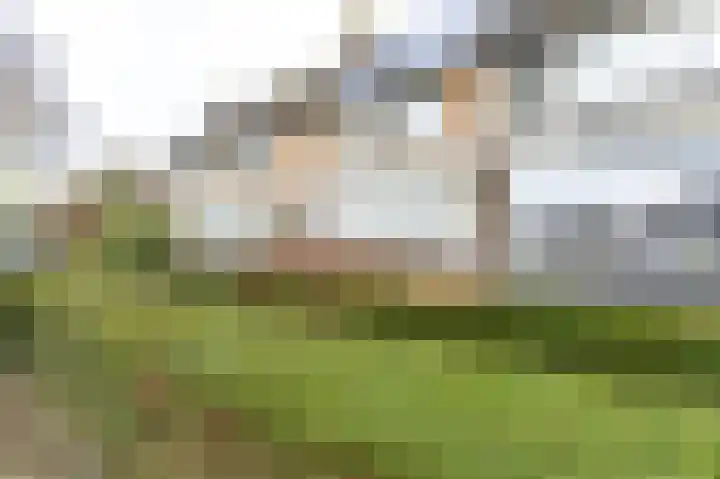 Torenakker 111 Berkel-Enschot thumbnail 47