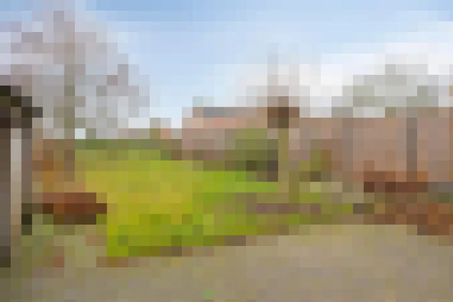 Torenakker 12 Helvoirt thumbnail 14