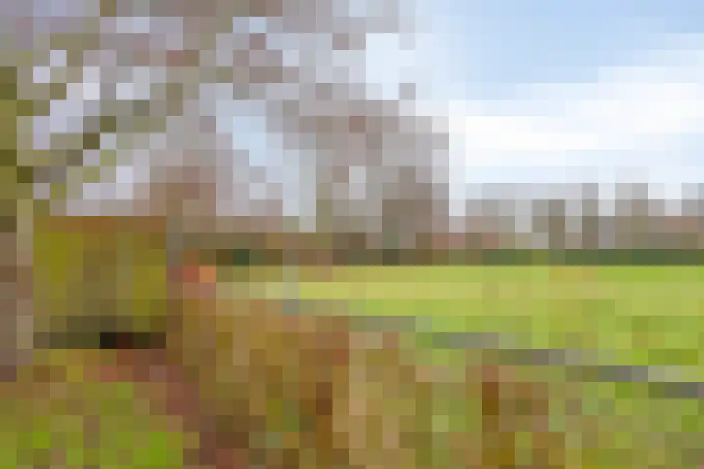 Torenakker 12 Helvoirt thumbnail 15