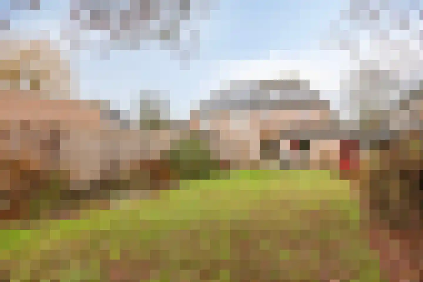 Torenakker 12 Helvoirt thumbnail 16