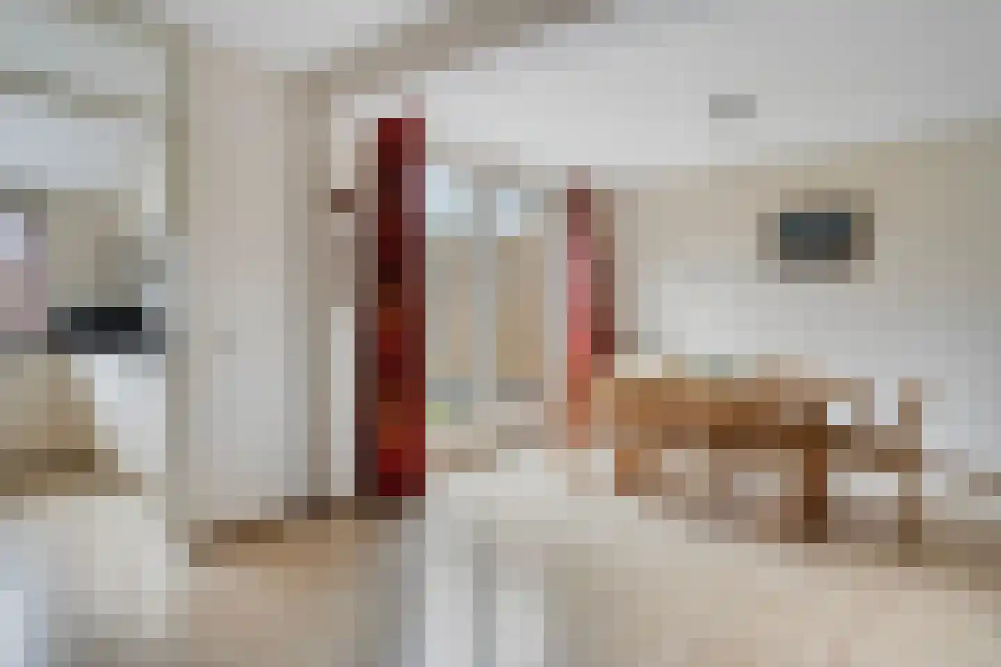 Torenakker 12 Helvoirt thumbnail 9