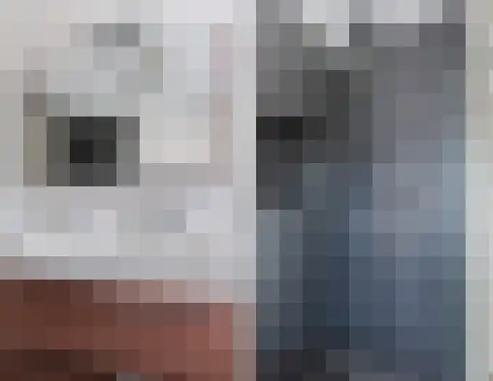 Torenakker 2 Berkel-Enschot thumbnail 22