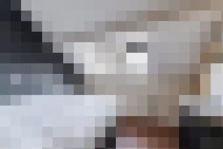 Torenakker 2 Berkel-Enschot thumbnail 23