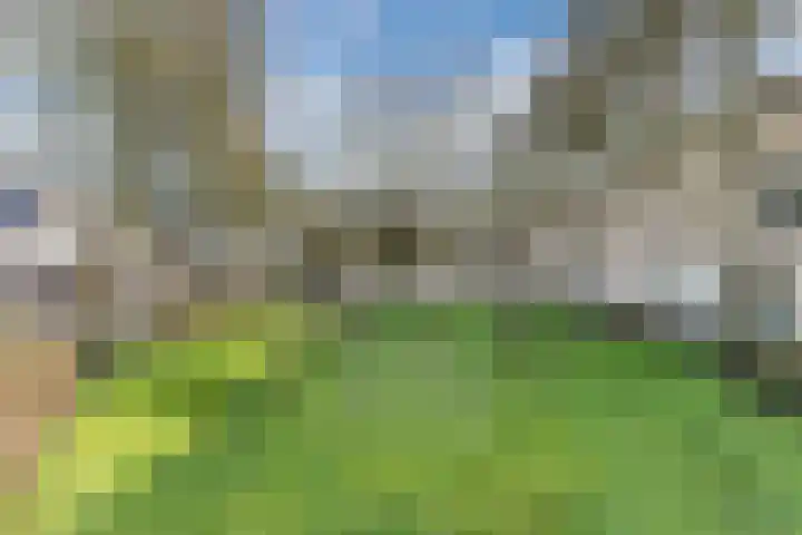 Torenakker 2 Berkel-Enschot thumbnail 31
