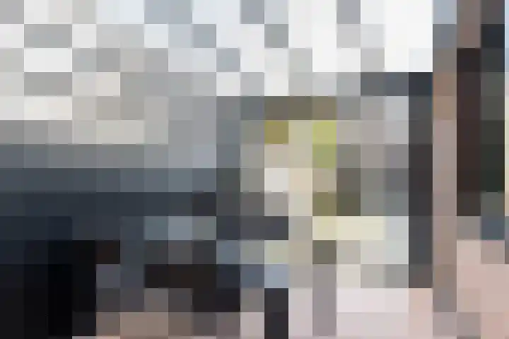 Torenakker 2 Berkel-Enschot thumbnail 5