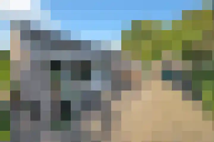 Torenakkers 1 Borger thumbnail 13