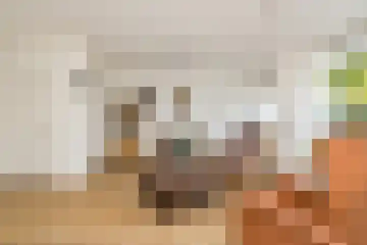 Torenakkers 1 Borger thumbnail 19