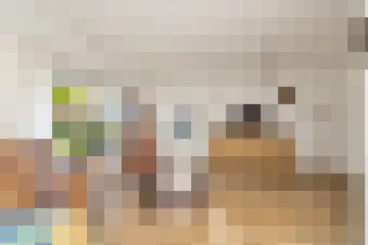 Torenakkers 1 Borger thumbnail 21