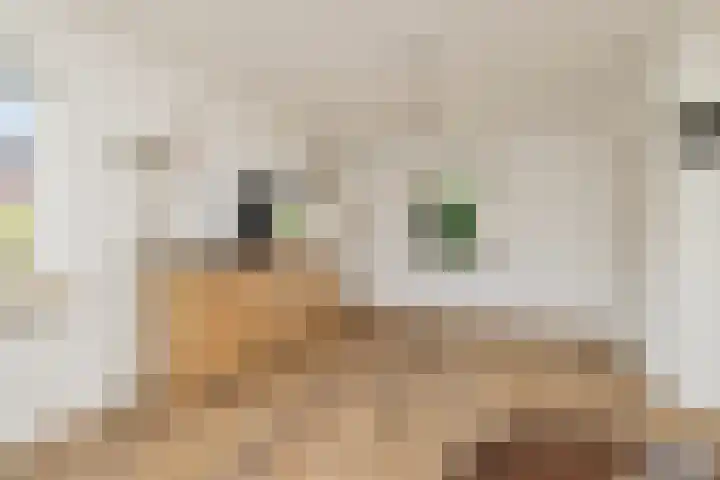 Torenakkers 1 Borger thumbnail 22