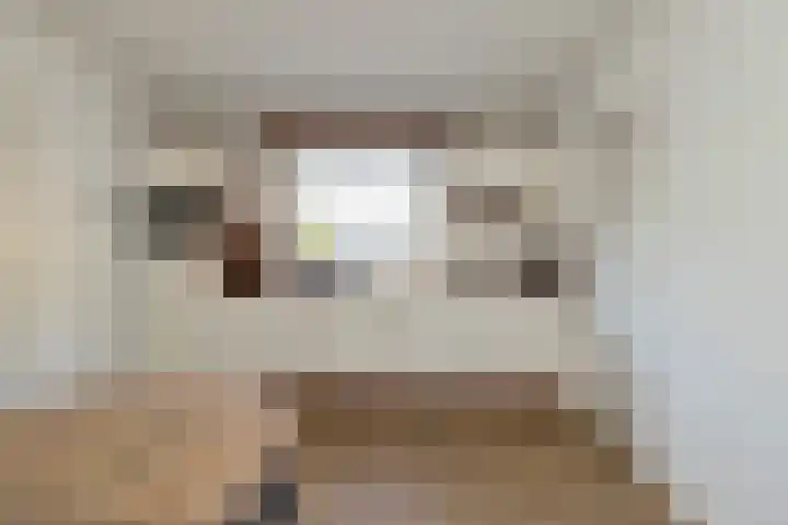 Torenakkers 1 Borger thumbnail 23
