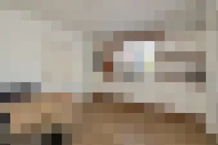 Torenakkers 1 Borger thumbnail 24