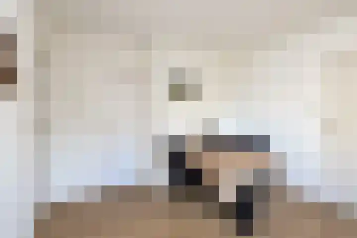 Torenakkers 1 Borger thumbnail 26