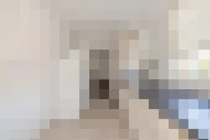 Torenakkers 1 Borger thumbnail 28