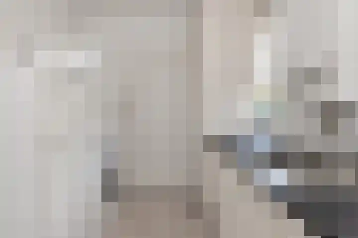 Torenakkers 1 Borger thumbnail 29