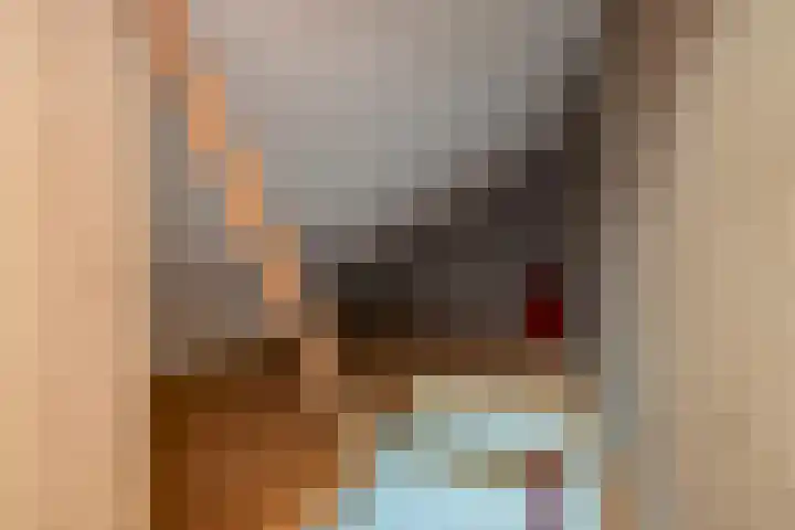 Torenakkers 1 Borger thumbnail 33