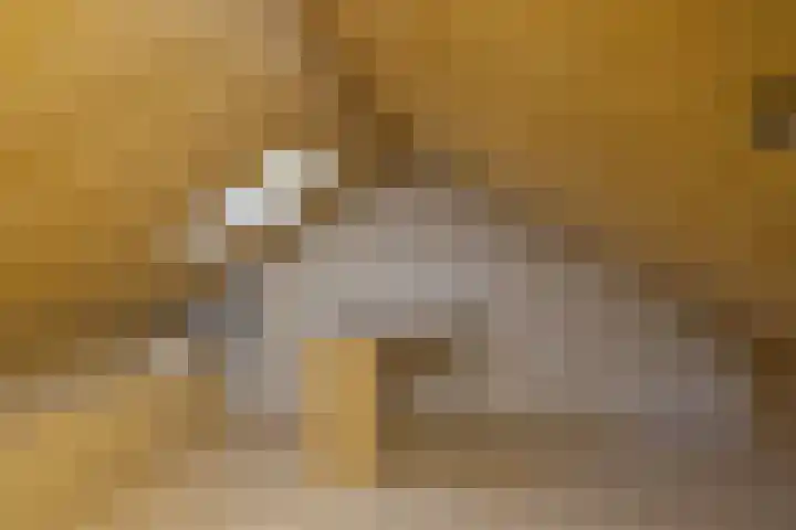 Torenakkers 1 Borger thumbnail 35