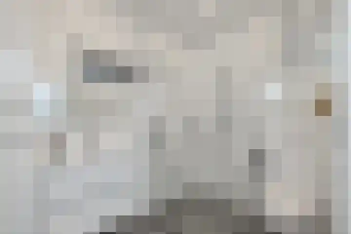 Torenakkers 1 Borger thumbnail 4
