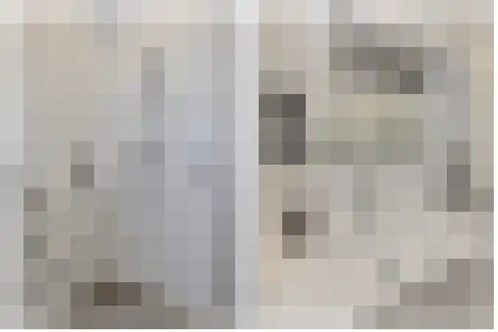 Torenakkers 1 Borger thumbnail 41