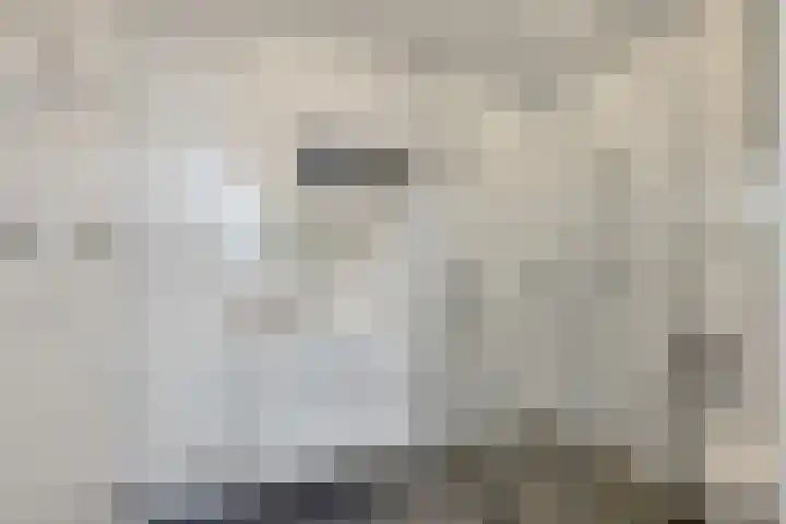 Torenakkers 1 Borger thumbnail 42
