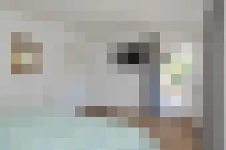 Torenakkers 1 Borger thumbnail 44