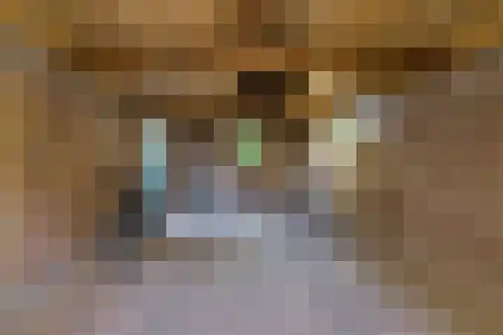 Torenakkers 1 Borger thumbnail 47
