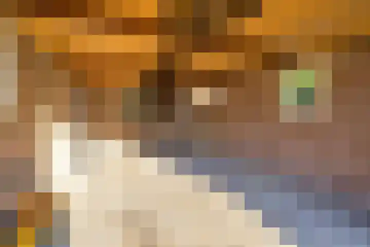 Torenakkers 1 Borger thumbnail 48