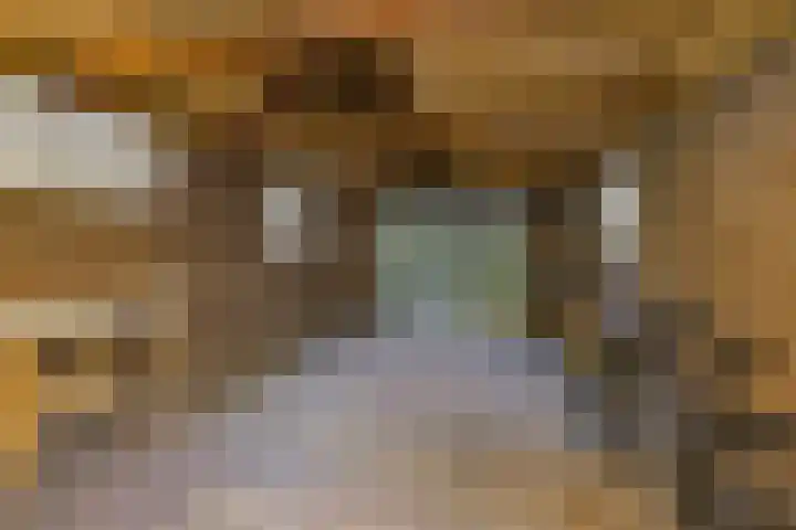 Torenakkers 1 Borger thumbnail 49