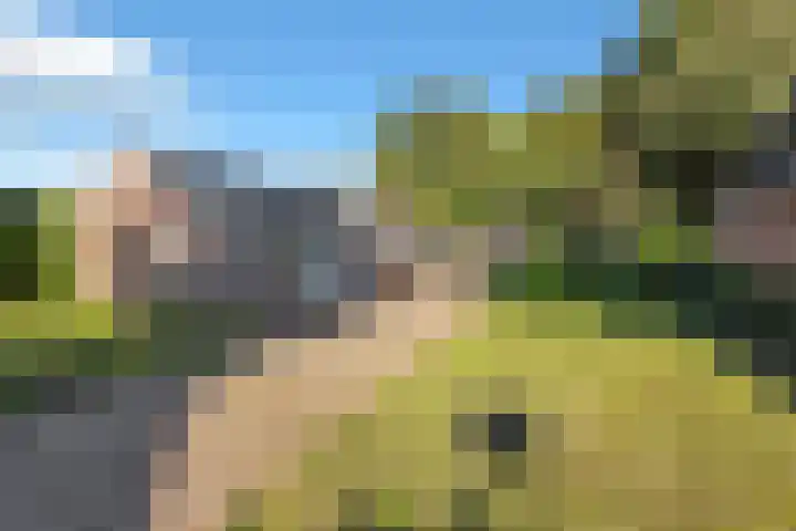 Torenakkers 1 Borger thumbnail 5