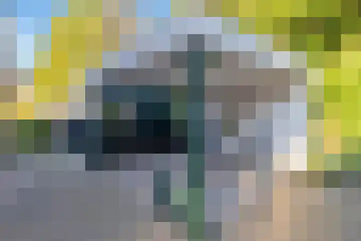 Torenakkers 1 Borger thumbnail 50
