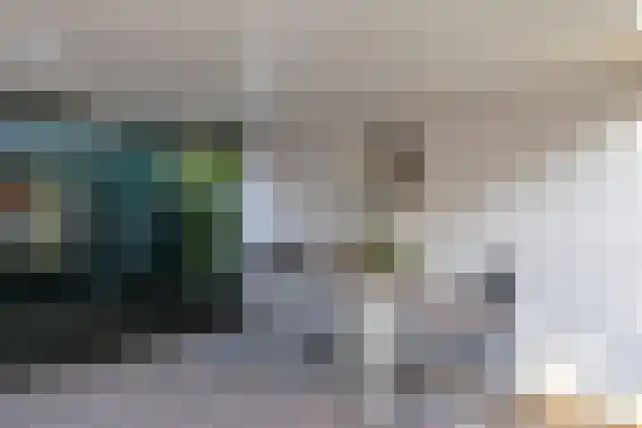 Torenakkers 1 Borger thumbnail 51