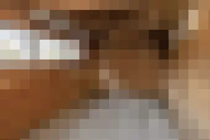 Torenakkers 1 Borger thumbnail 52