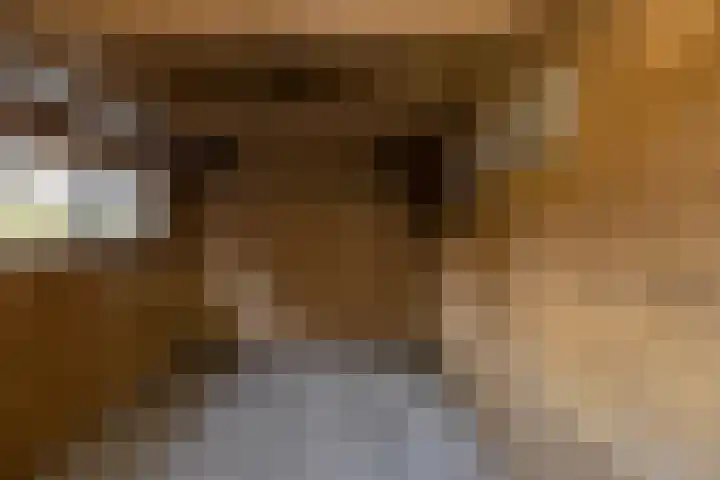Torenakkers 1 Borger thumbnail 53