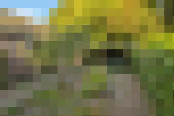 Torenakkers 1 Borger thumbnail 54