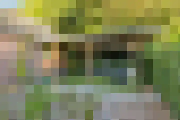 Torenakkers 1 Borger thumbnail 55
