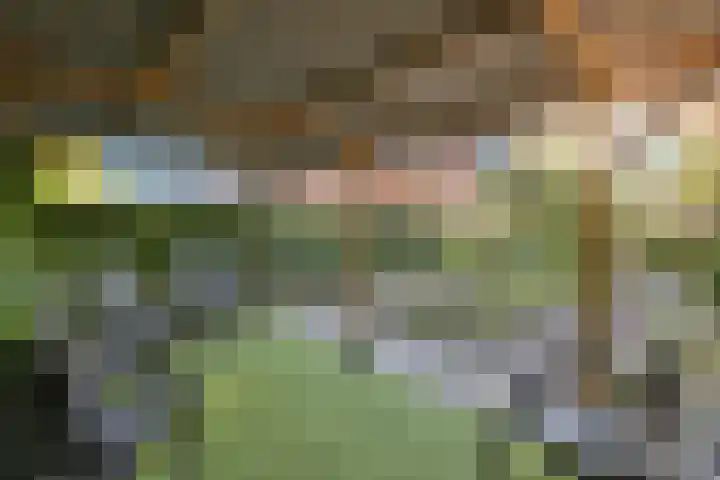 Torenakkers 1 Borger thumbnail 56