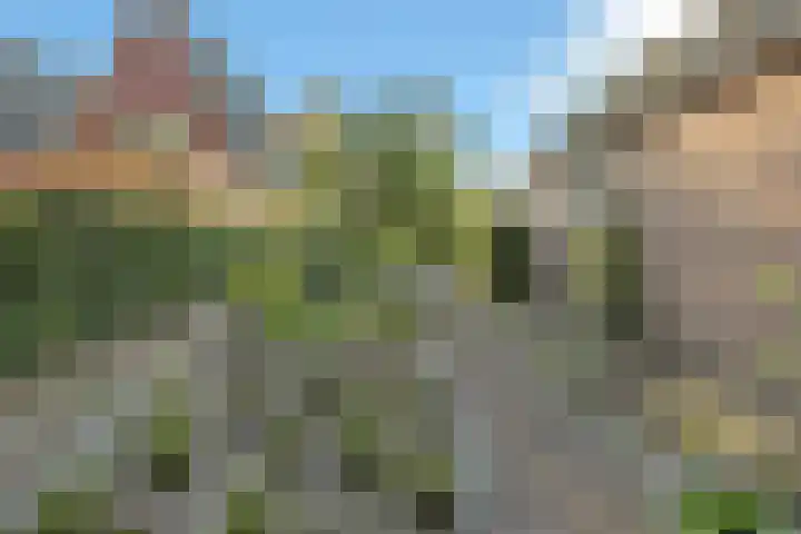 Torenakkers 1 Borger thumbnail 57