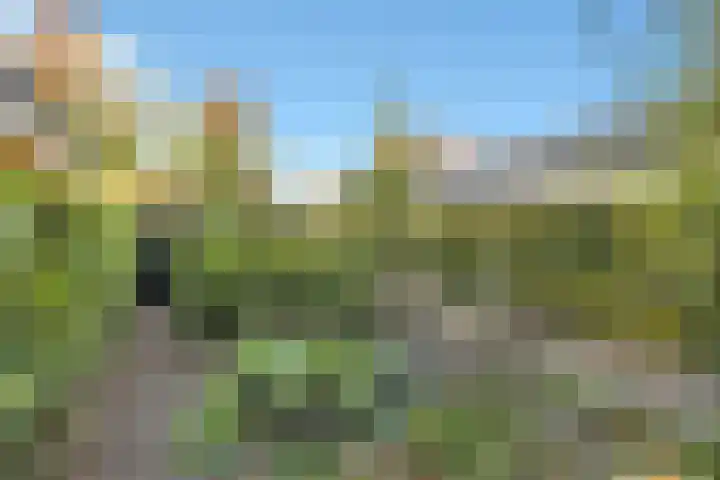 Torenakkers 1 Borger thumbnail 58