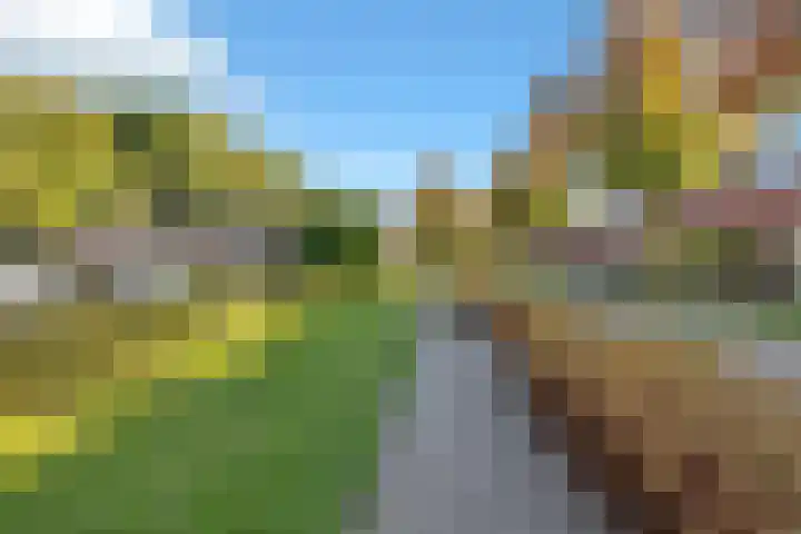 Torenakkers 1 Borger thumbnail 6