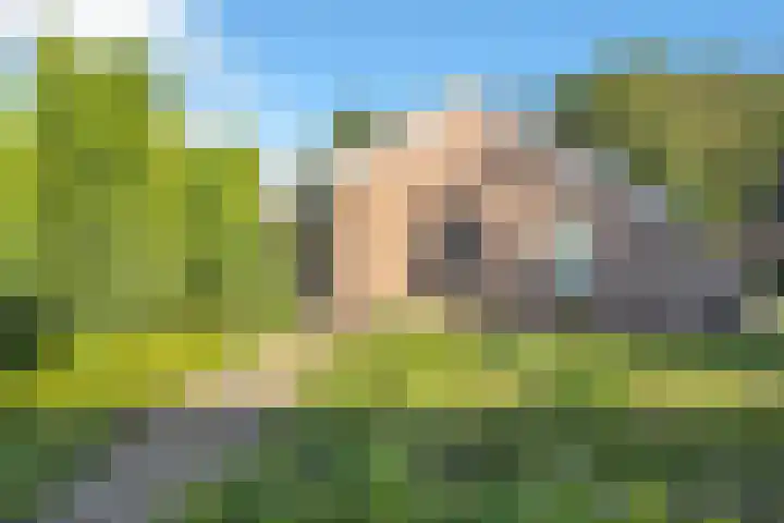 Torenakkers 1 Borger thumbnail 9